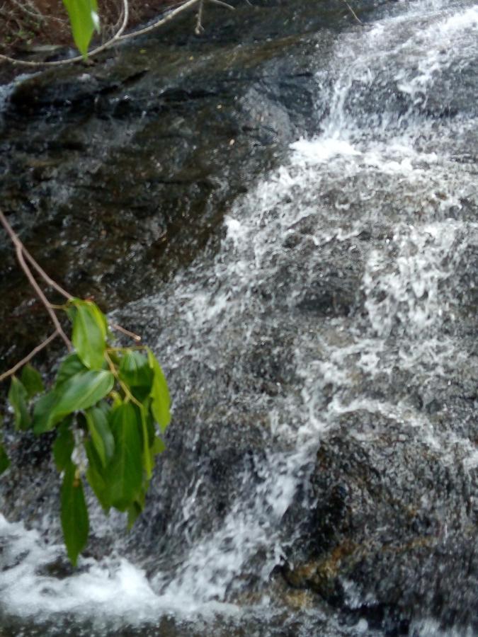 Inn On The Rock Daambulla Dambulla Luaran gambar